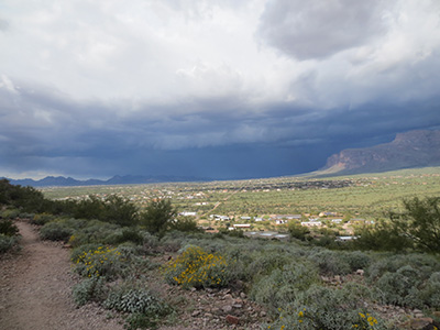 Desert Park